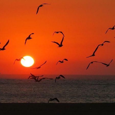 Serena Beach 3 Nazaré Dış mekan fotoğraf