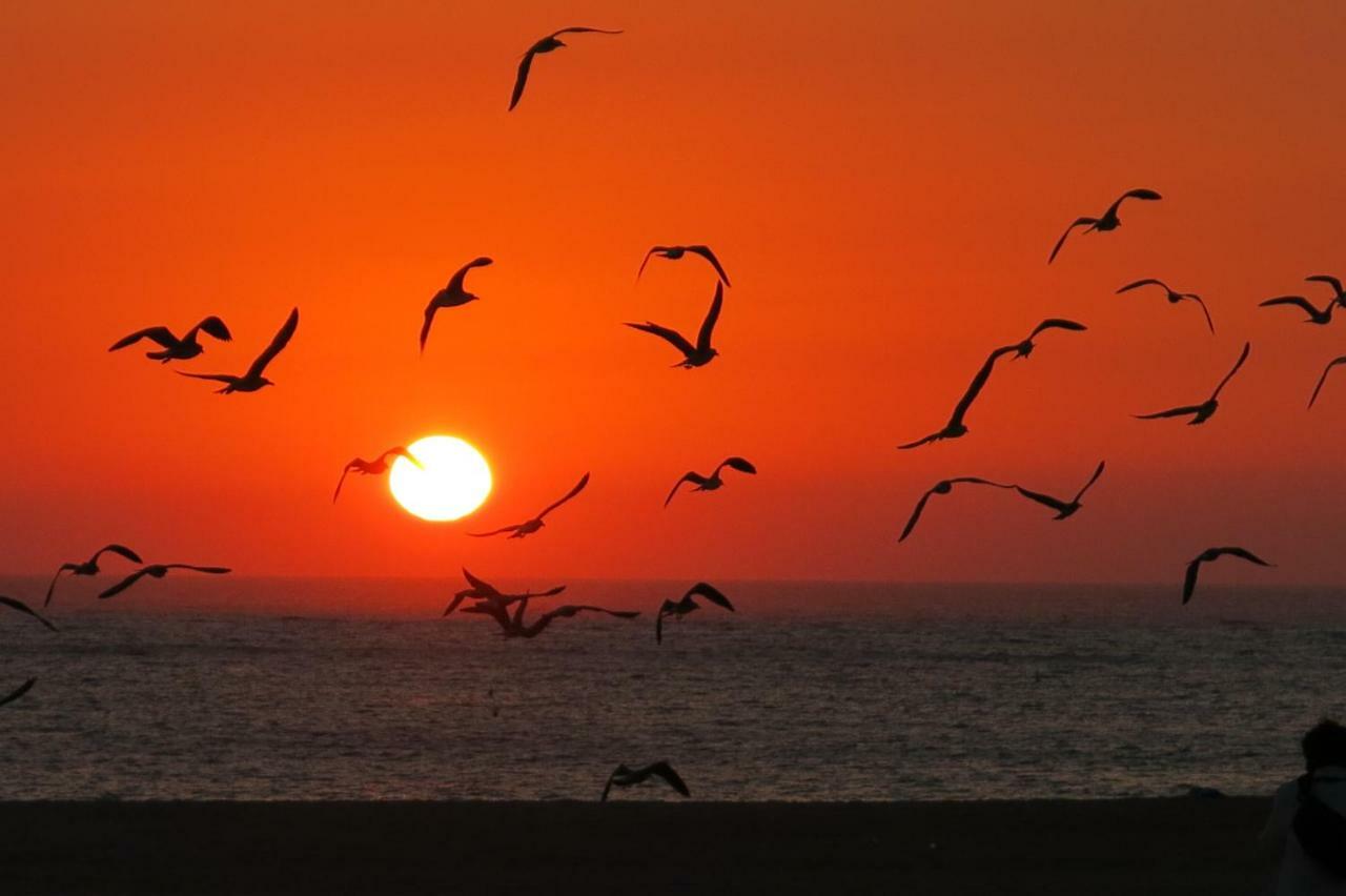 Serena Beach 3 Nazaré Dış mekan fotoğraf